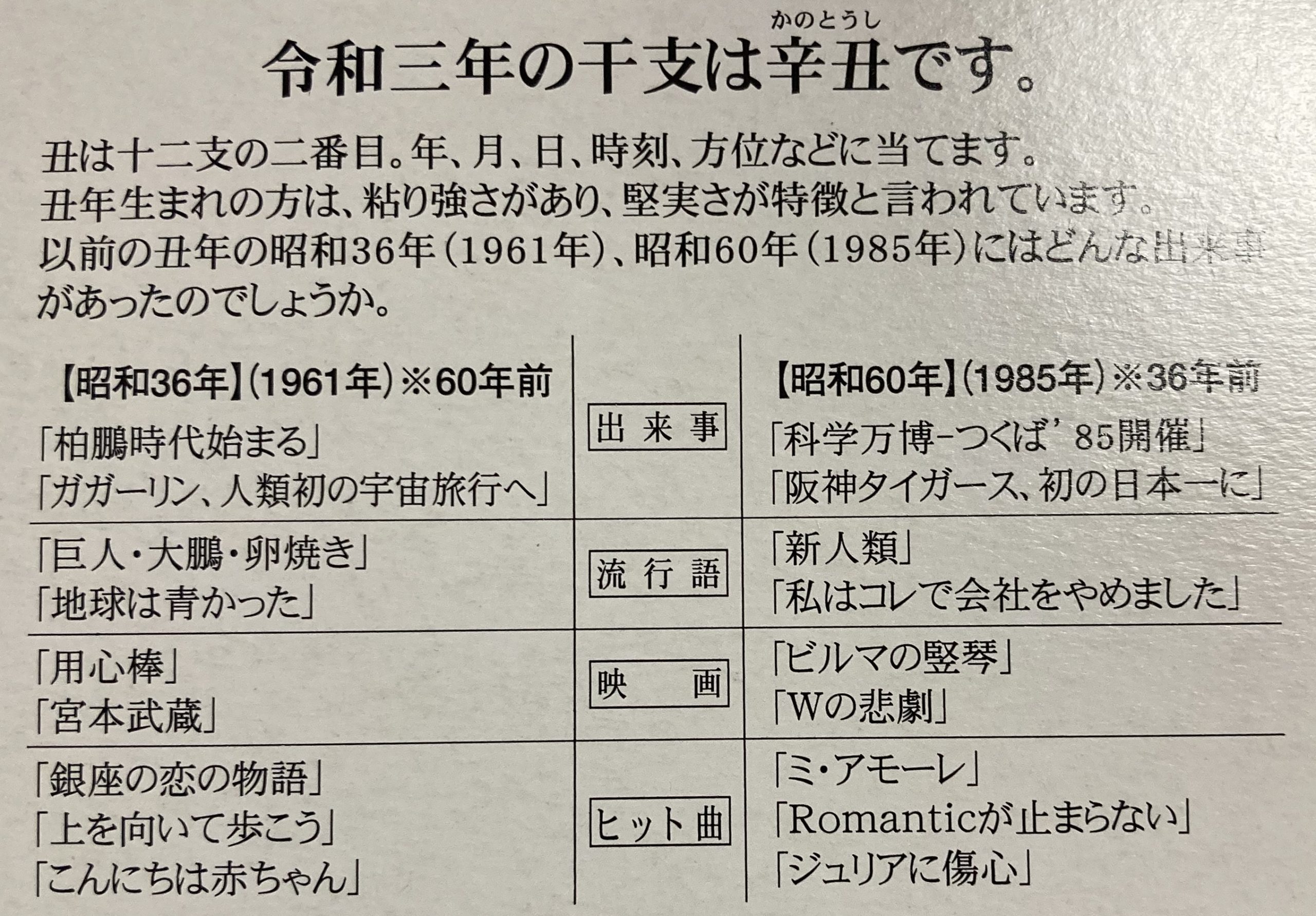 干支チョコレート 海千山千譚