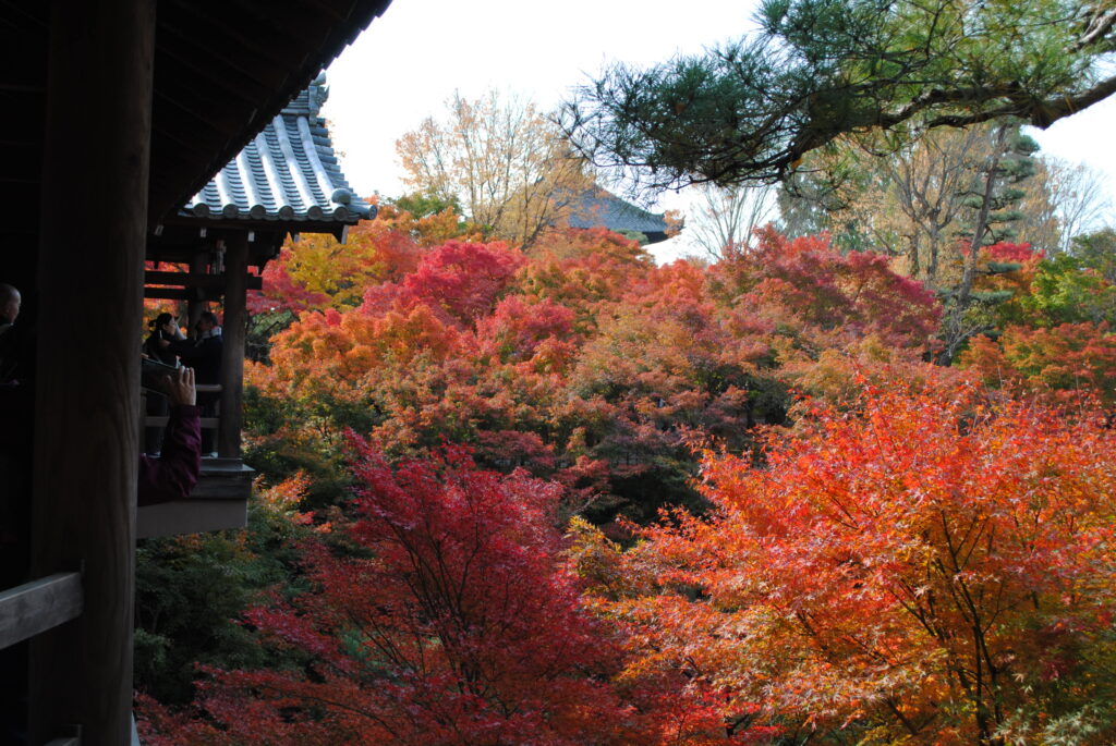 東福寺。静かな秋の日にこの燃える赤を見たし。